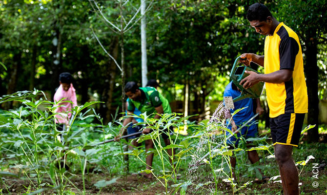 Horticultura: Cuidar de la creación de Dios.