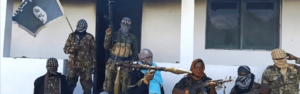 Jihadists in Cabo Delgado